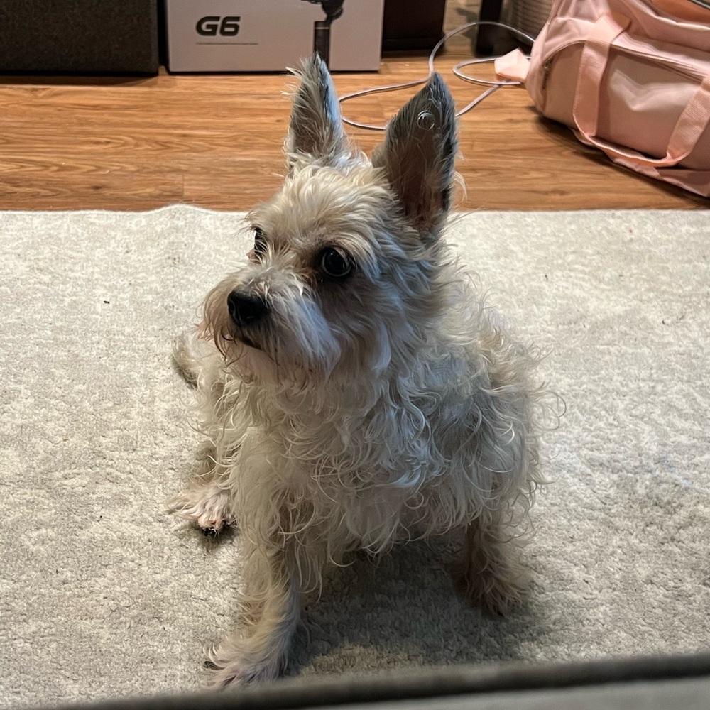 Meet your Posher, Alexandra